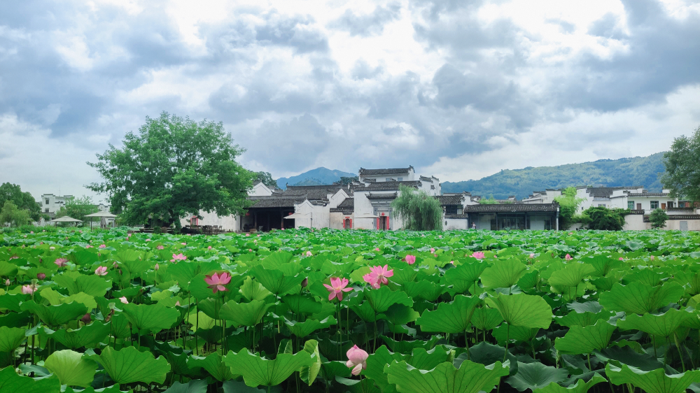 呈坎村(呈坎千年古村古建筑群)