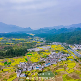 伏岭镇伏岭村油菜花