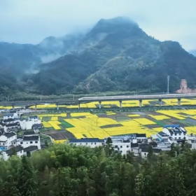 伏岭镇北村春季油菜花