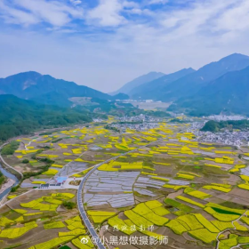 伏岭镇伏岭村油菜花