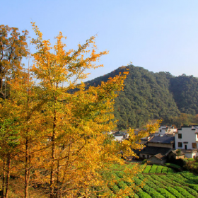 初冬时节，黄山市休宁