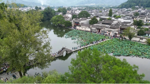 黄山市创新实施村落徽州文化特派员制度